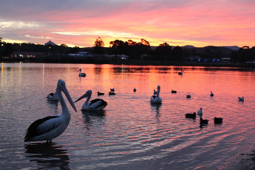 Holiday Haven Burrill Lake Екстериор снимка